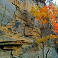 Natural Bridge State Park